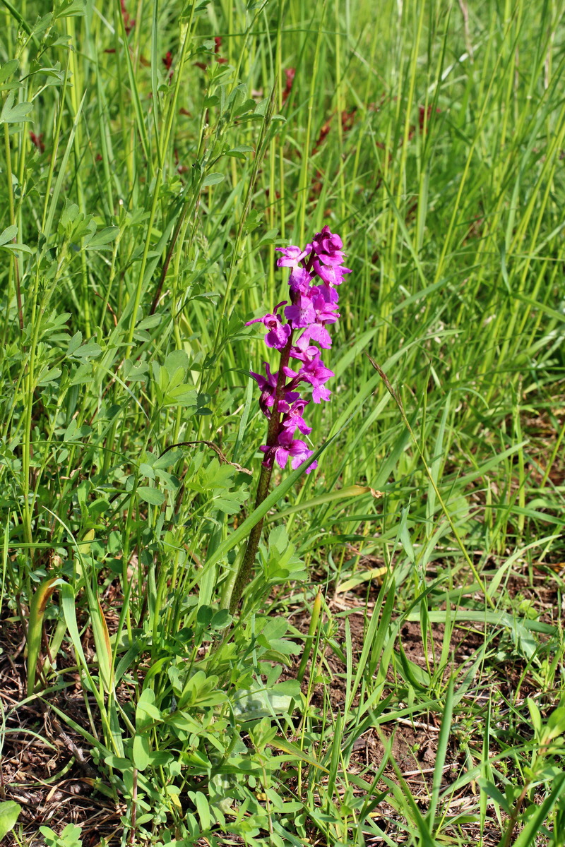 2014_05_05_00042188p_Bildgr��e �ndern