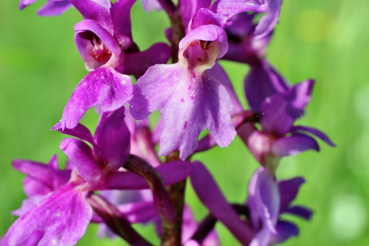 2014_05_05_00042209p_Bildgr��e �ndern