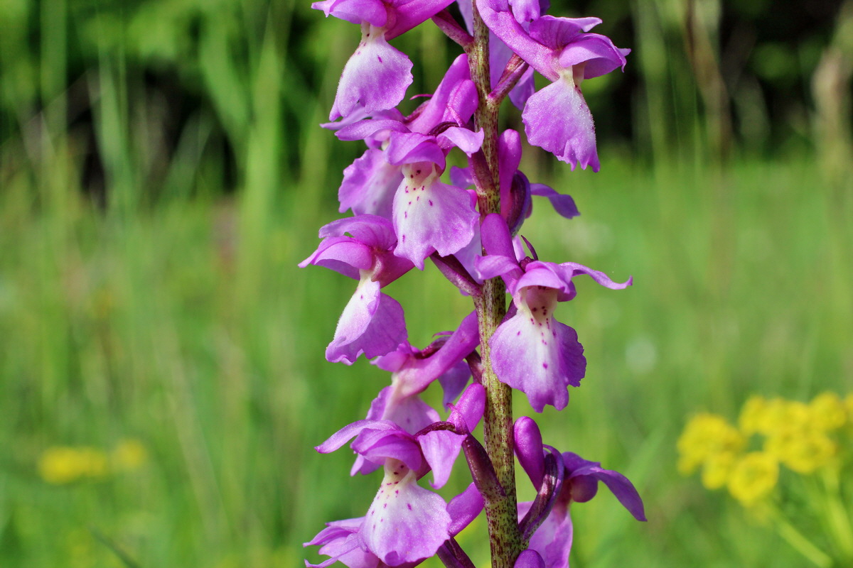 2014_05_05_00042211p_Bildgr��e �ndern