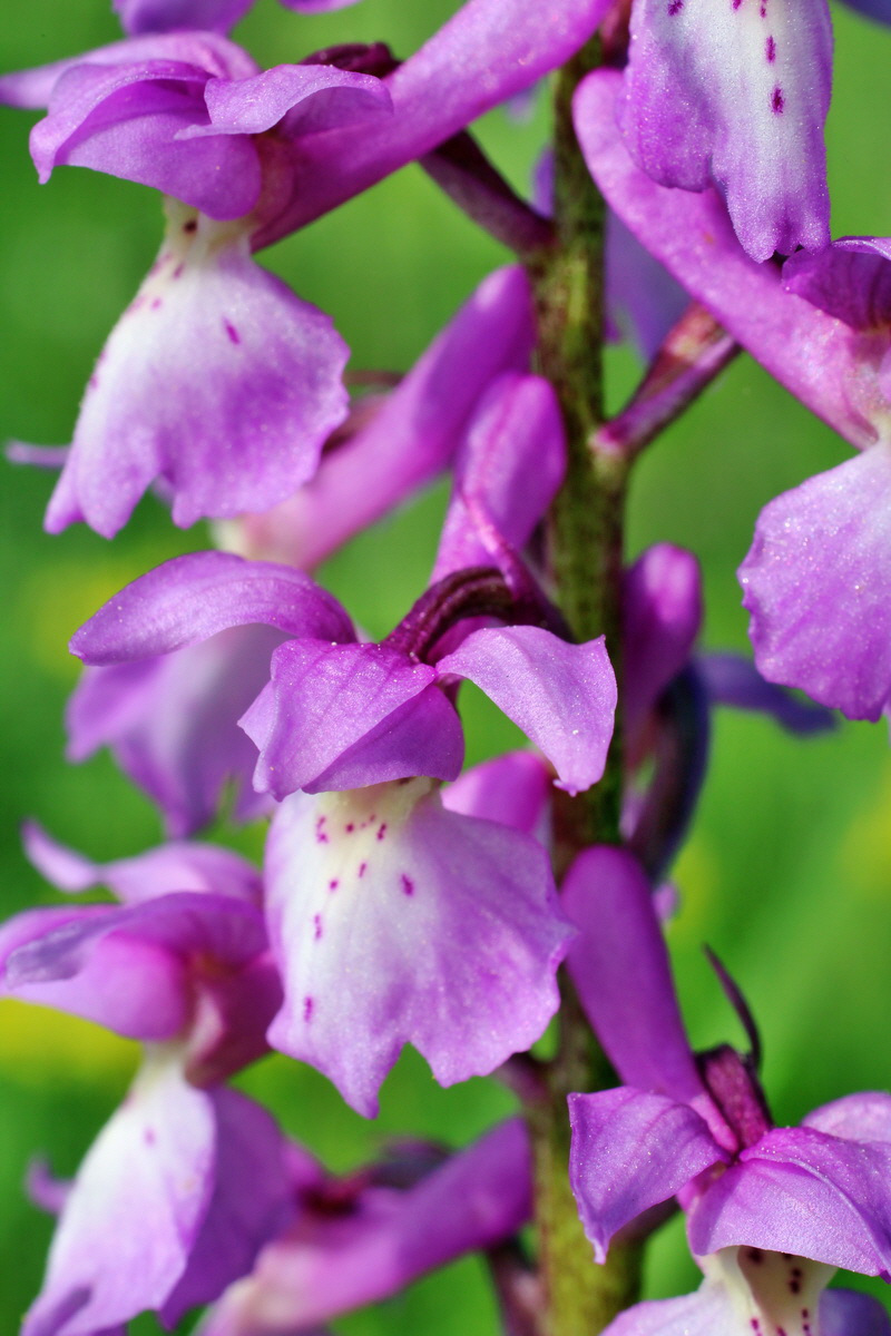 2014_05_05_00042213p_Bildgr��e �ndern