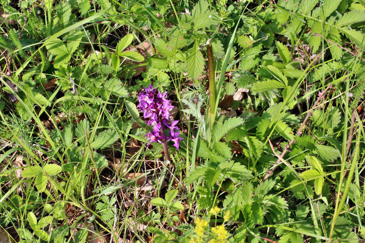 2014_05_05_00042234p_Bildgr��e �ndern