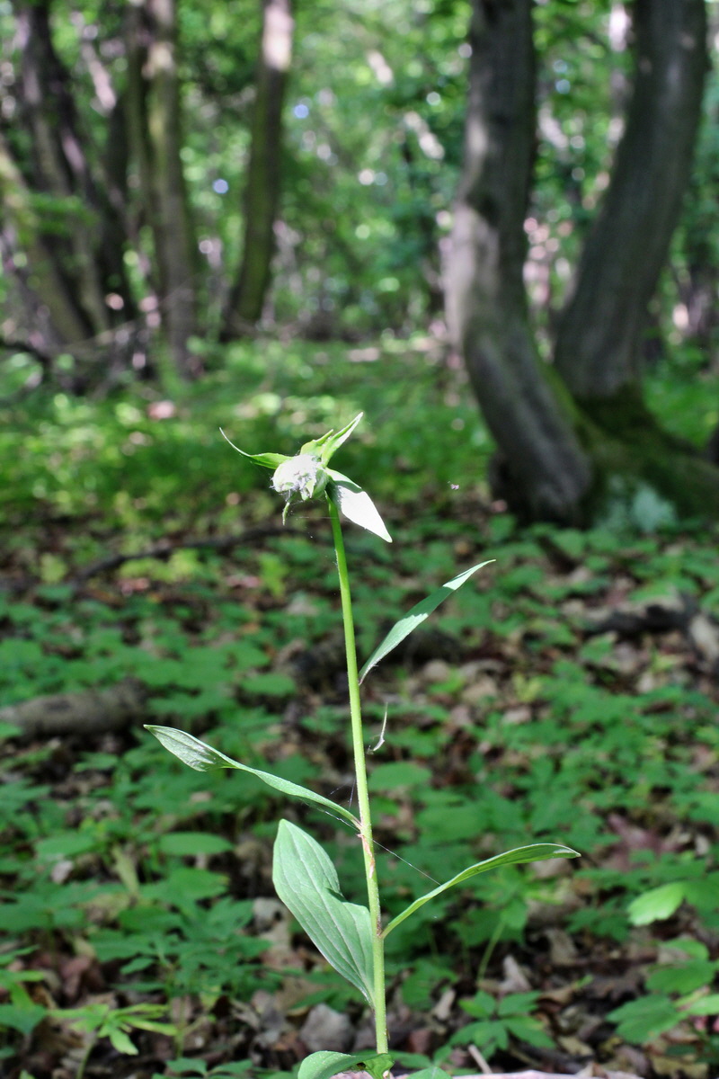 2014_05_05_00042236p_Bildgr��e �ndern