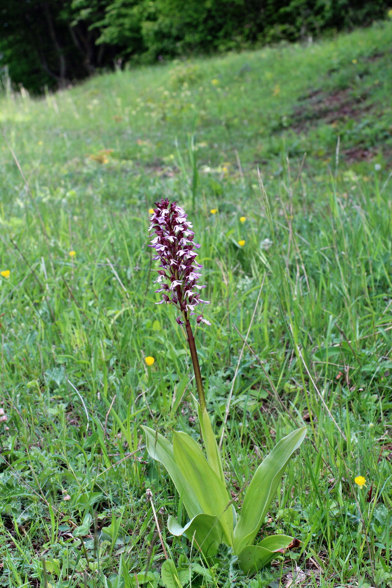 2014_05_05_00042245p_Bildgr��e �ndern