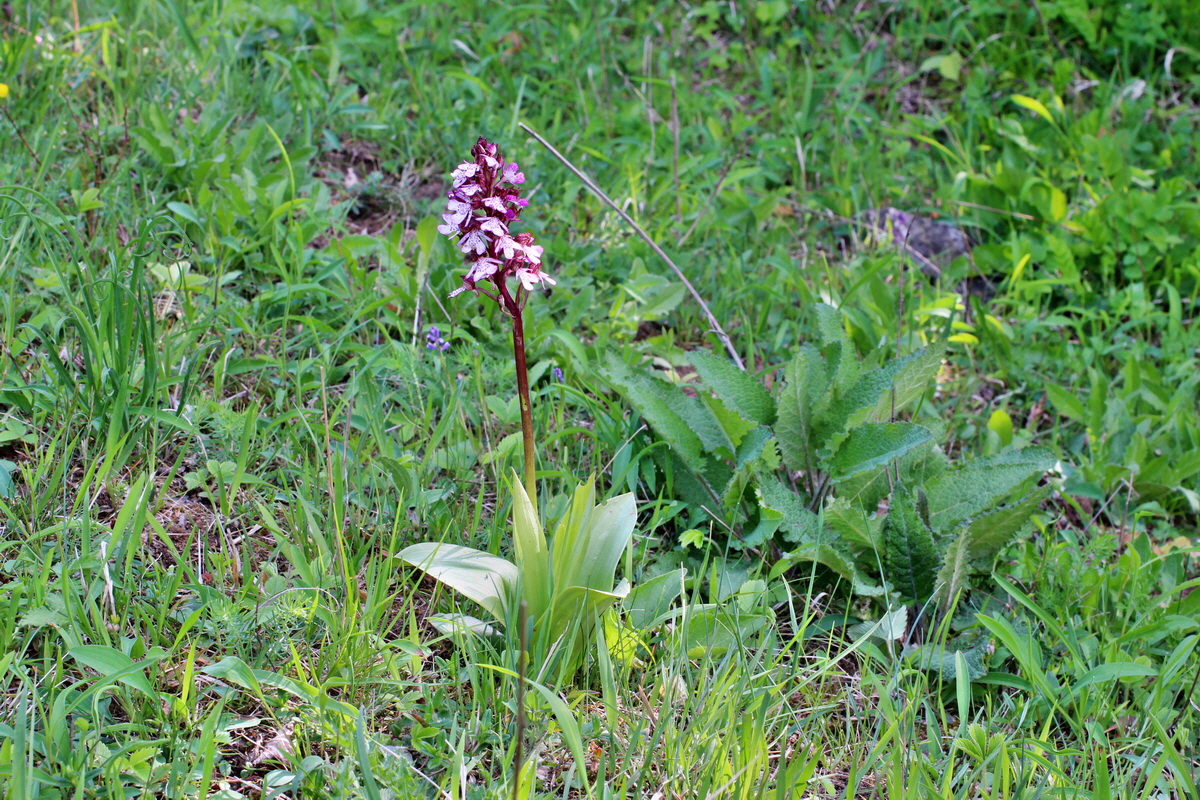 2014_05_05_00042250p_Bildgr��e �ndern