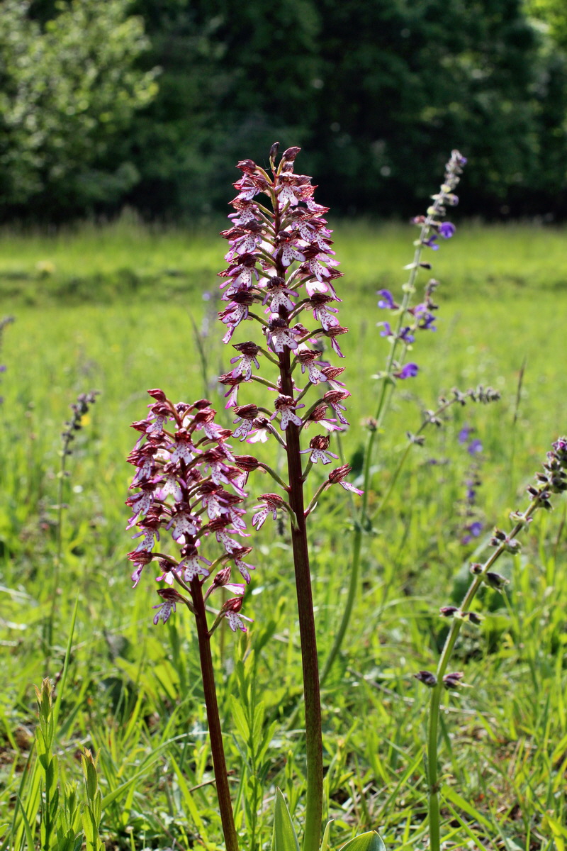 2014_05_05_00042260p_Bildgr��e �ndern