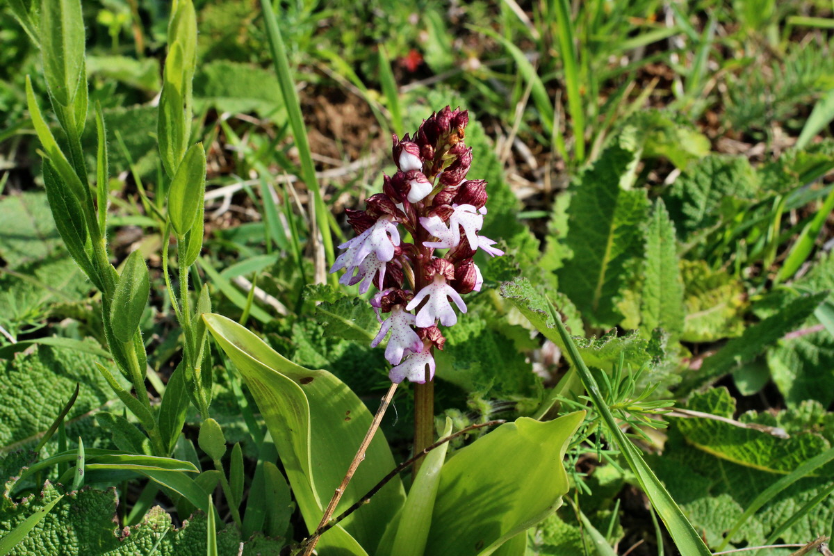 2014_05_05_00042263p_Bildgr��e �ndern