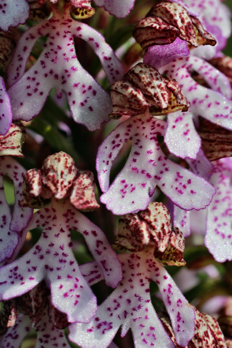 2014_05_05_00042269p_Bildgr��e �ndern