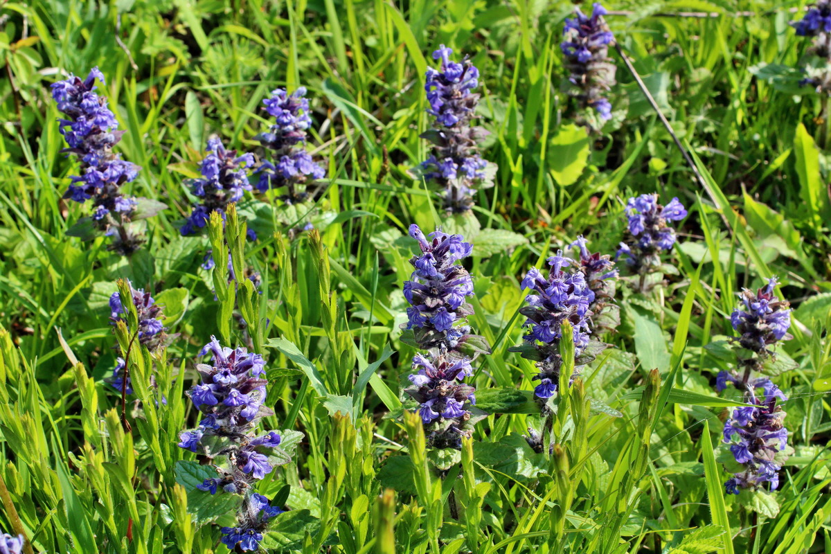 2014_05_05_00042279p_Bildgr��e �ndern