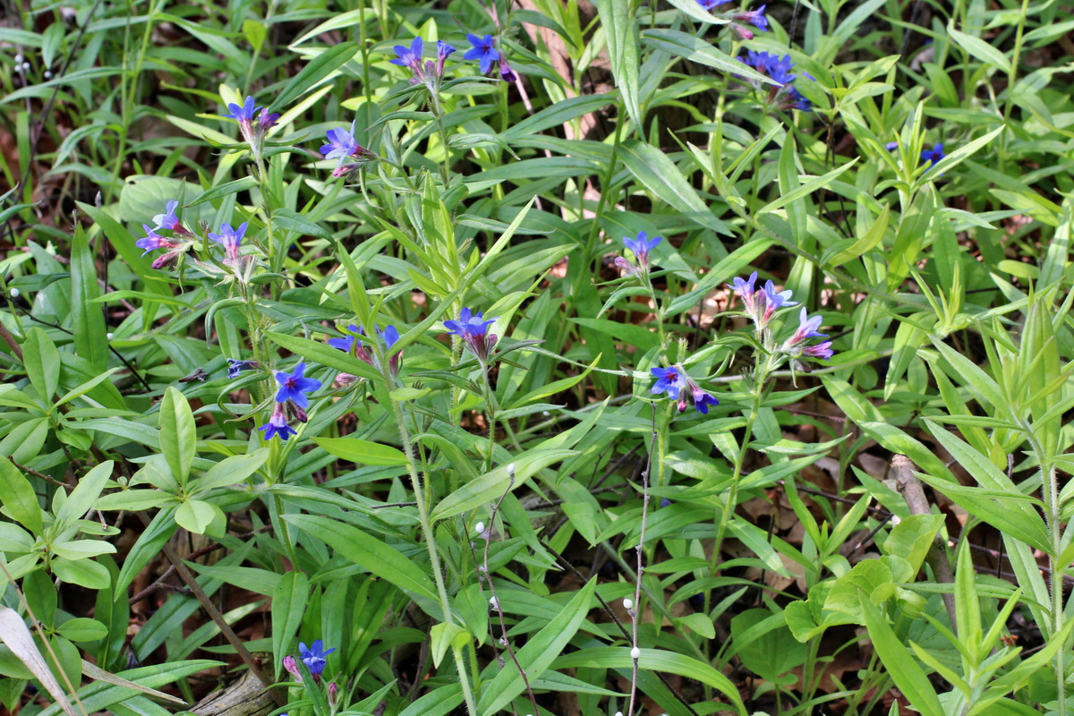 2014_05_05_00042287p_Bildgr��e �ndern