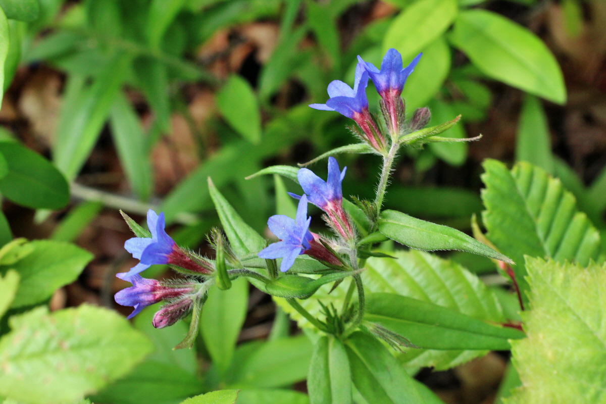 2014_05_05_00042290p_Bildgr��e �ndern