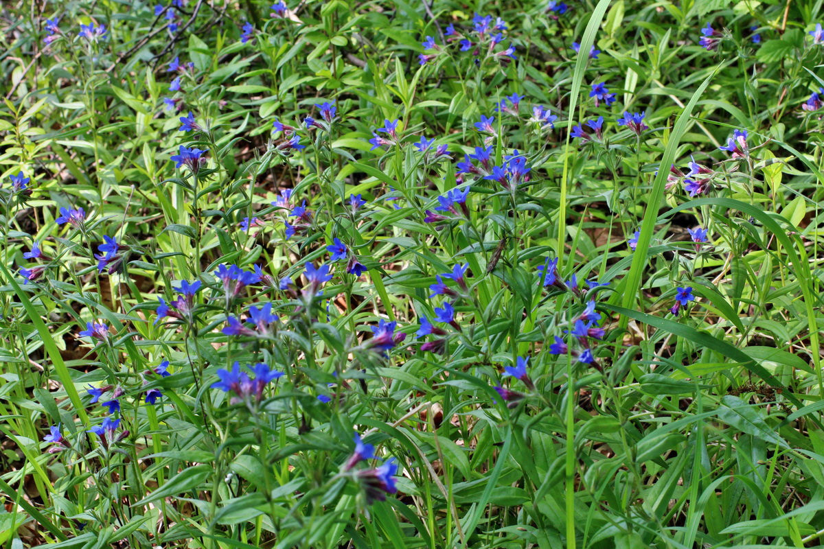 2014_05_05_00042295p_Bildgr��e �ndern