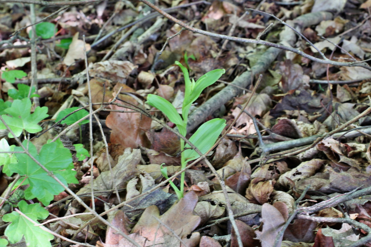 2014_05_05_00042305p_Bildgr��e �ndern