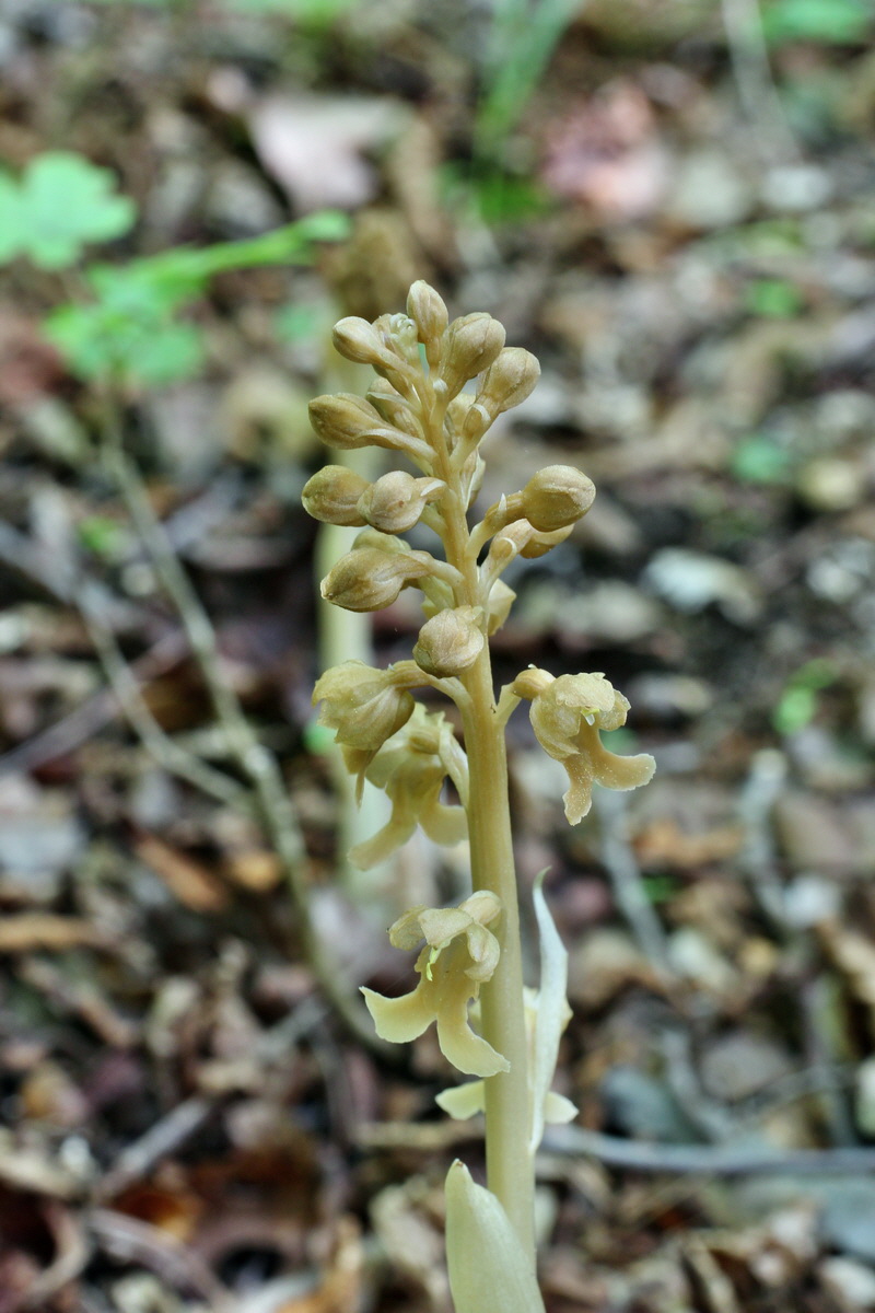 2014_05_05_00042309p_Bildgr��e �ndern