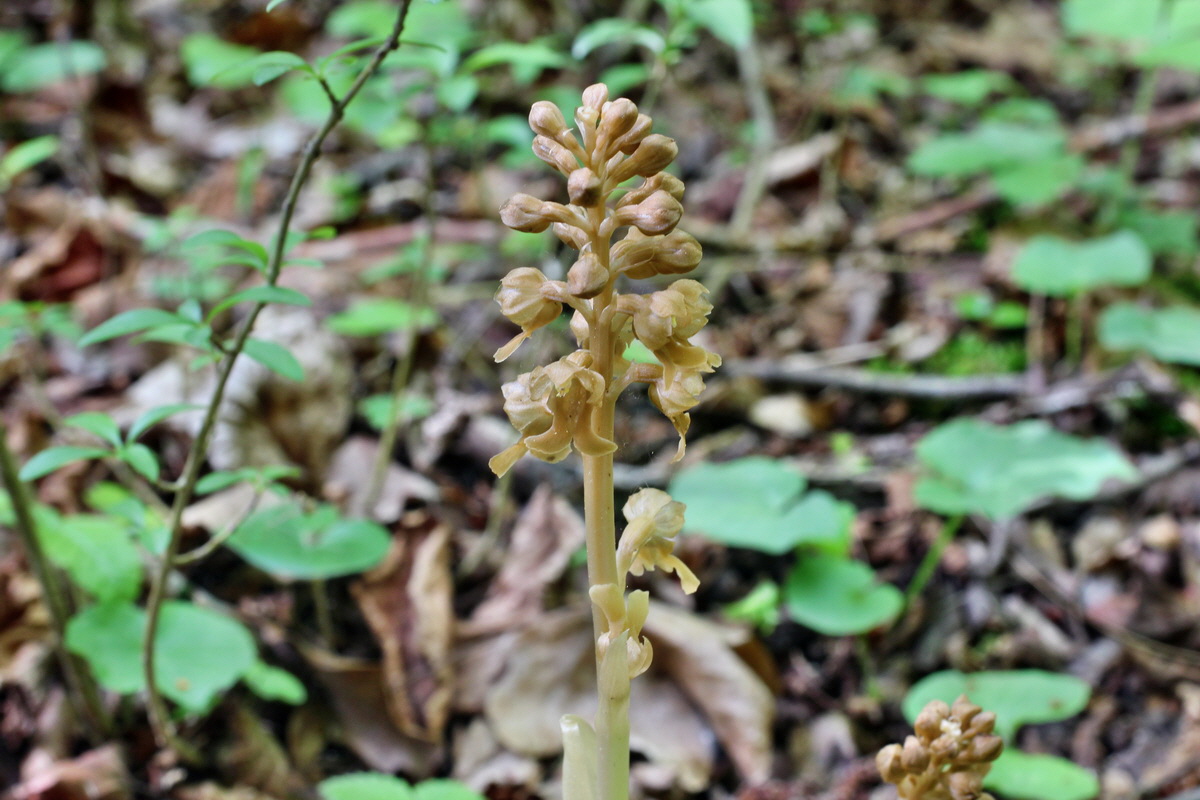 2014_05_05_00042321p_Bildgr��e �ndern