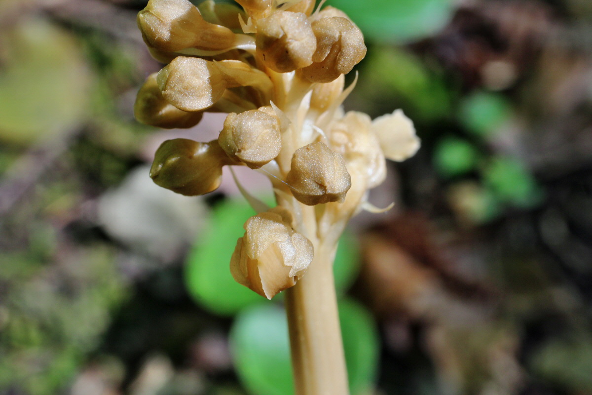 2014_05_05_00042322p_Bildgr��e �ndern