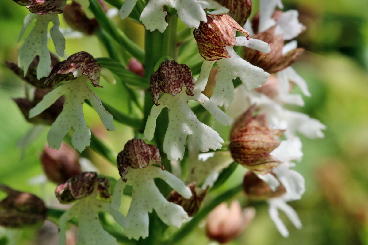 2014_05_05_00042348p_Bildgr��e �ndern