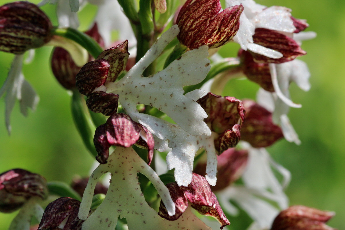 2014_05_05_00042351p_Bildgr��e �ndern