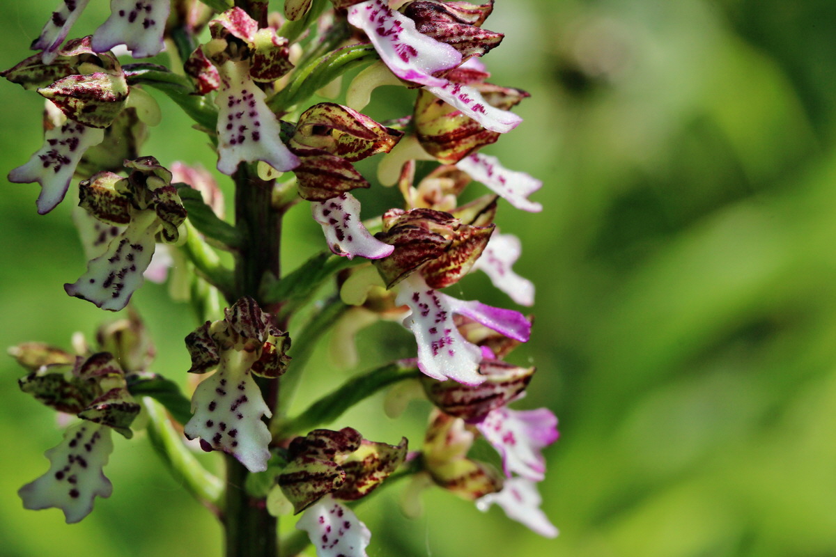 2014_05_05_00042356p_Bildgr��e �ndern