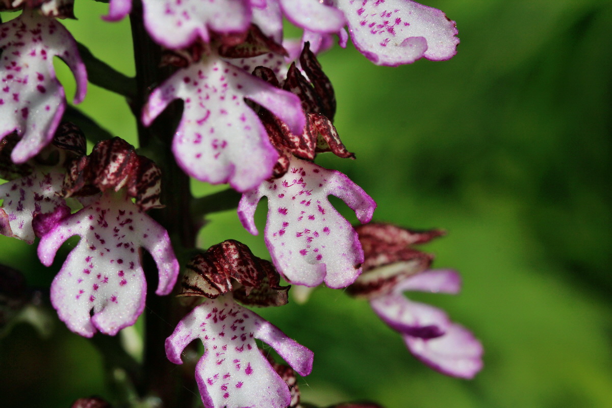 2014_05_05_00042370p_Bildgr��e �ndern