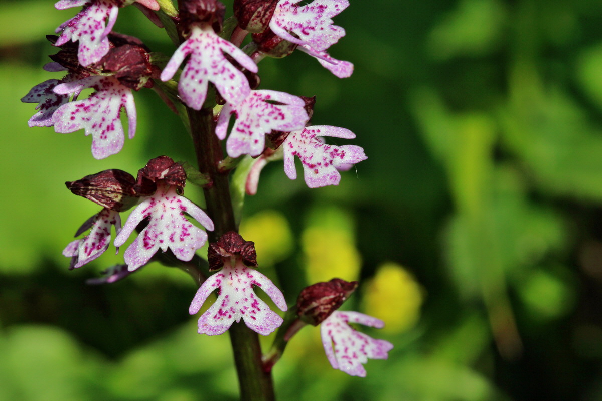 2014_05_05_00042374p_Bildgr��e �ndern