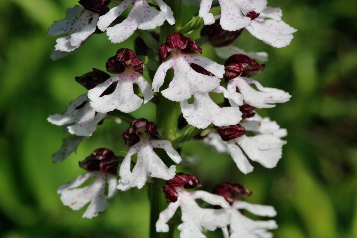 2014_05_05_00042376p_Bildgr��e �ndern