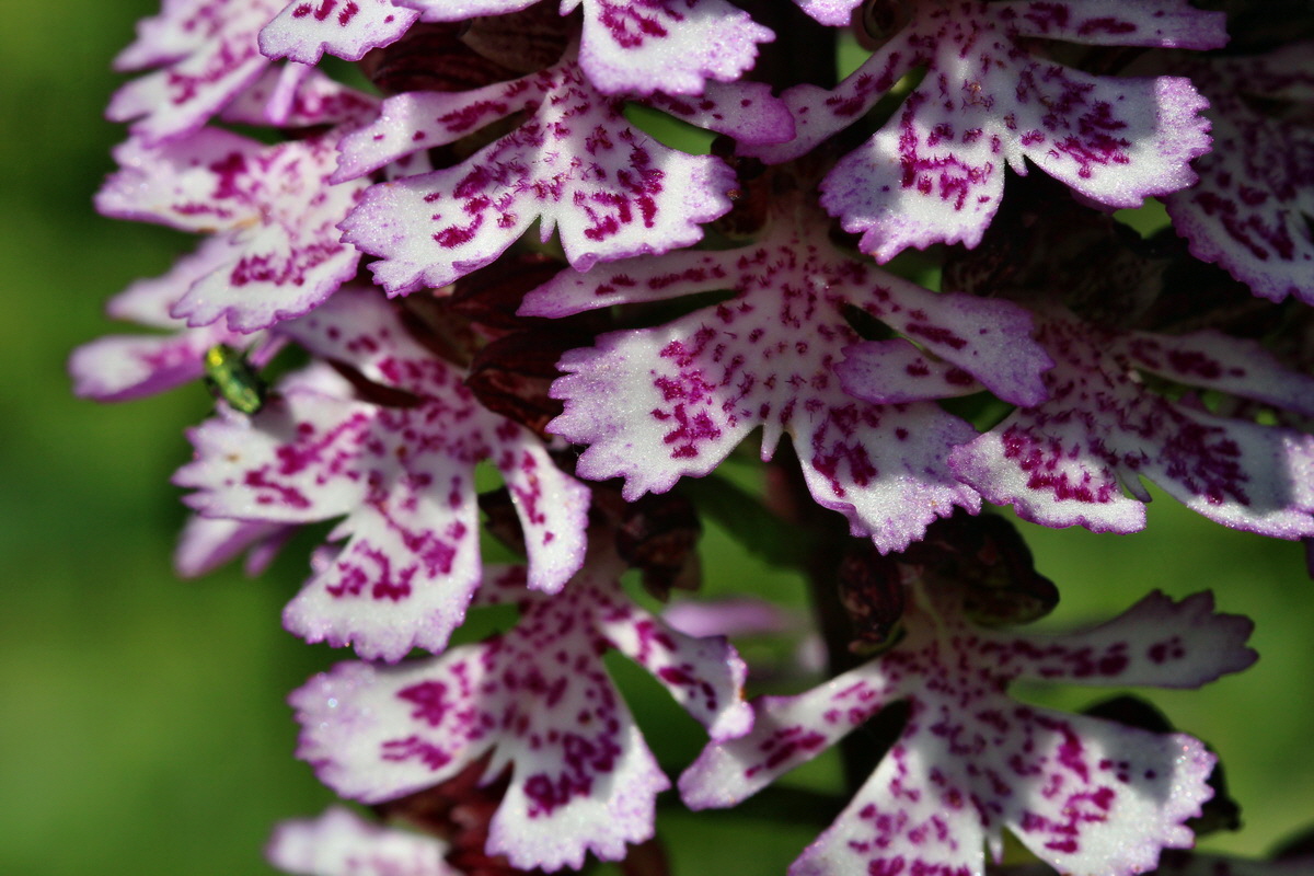 2014_05_05_00042381p_Bildgr��e �ndern