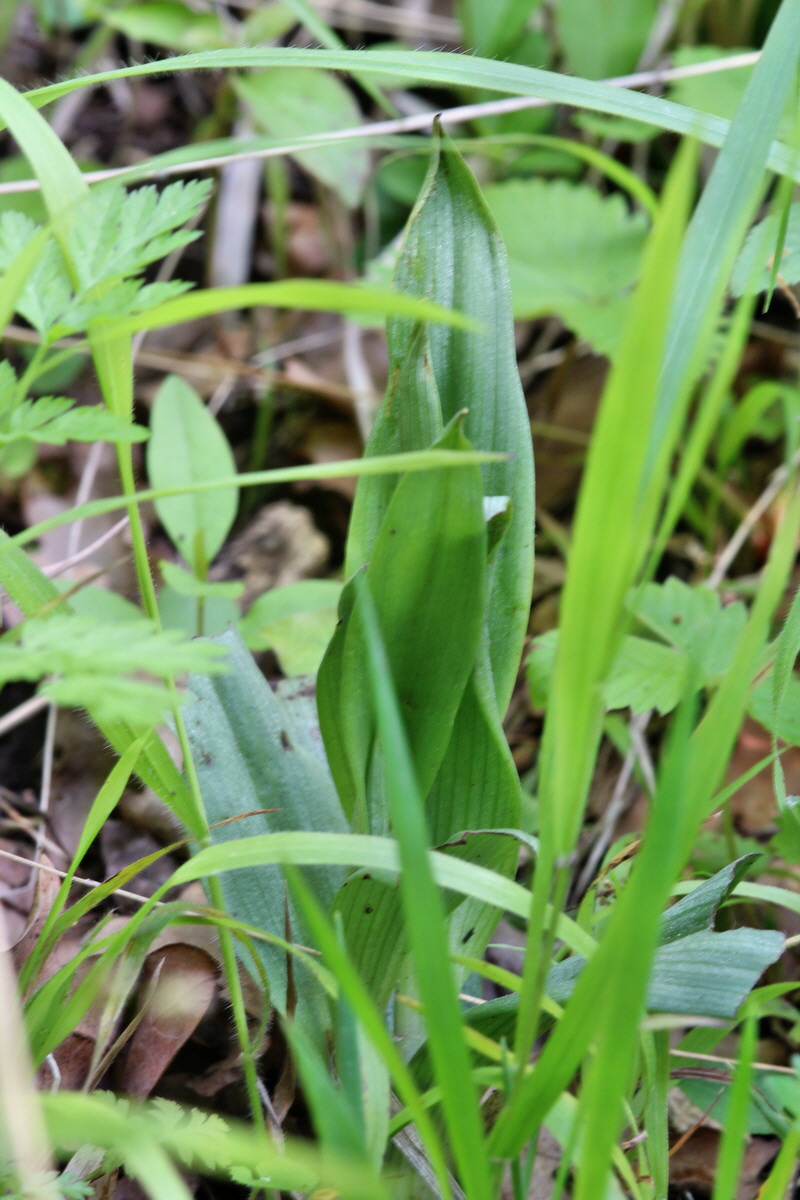 2014_05_05_00042414p_Bildgr��e �ndern