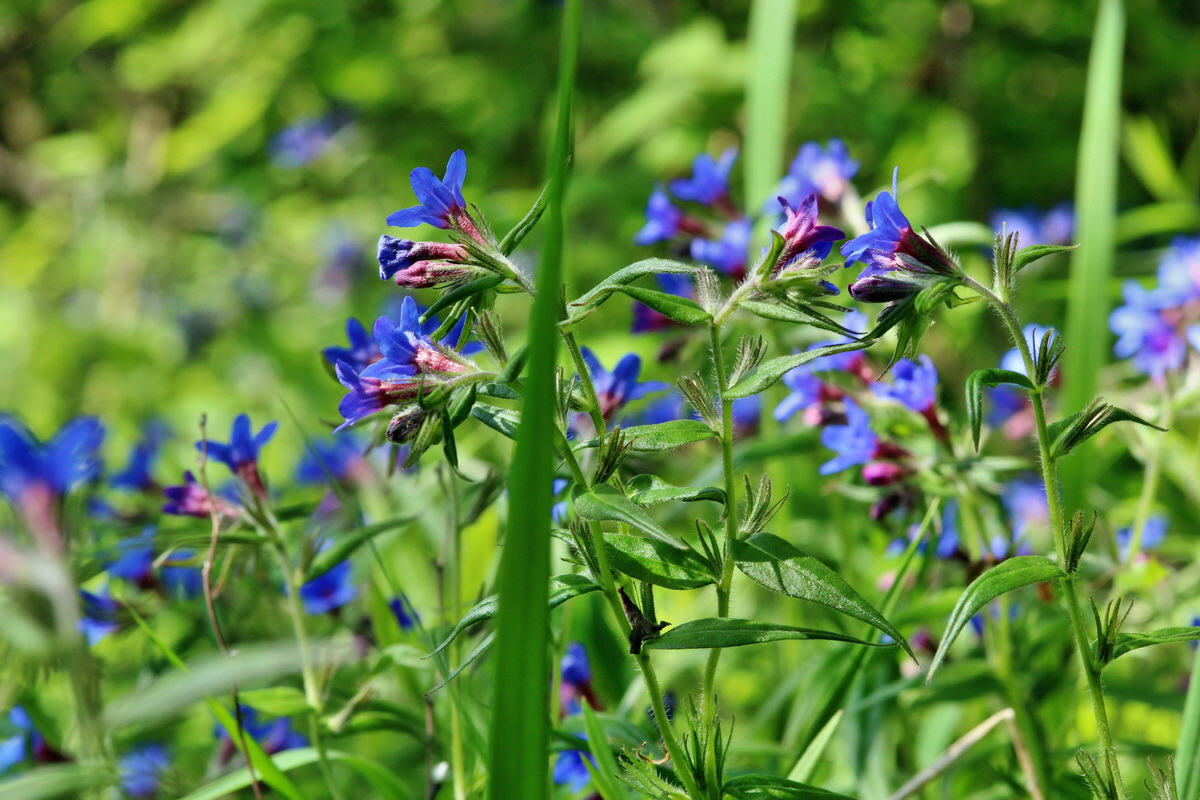 2014_05_05_00042419p_Bildgr��e �ndern