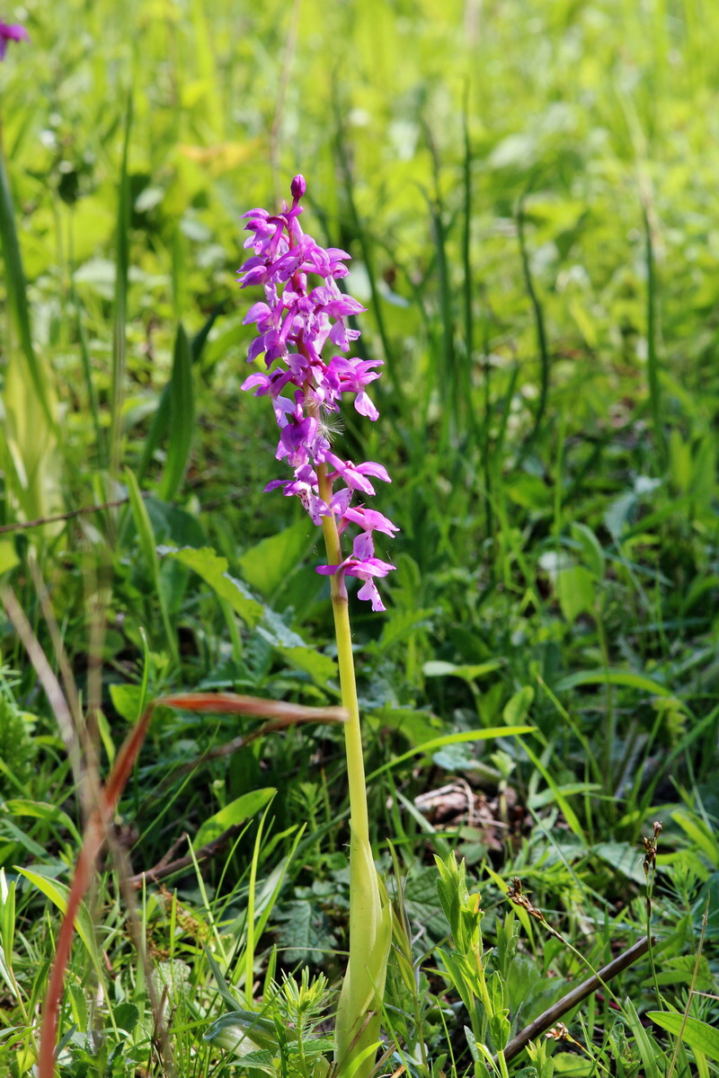 2014_05_05_00042424p_Bildgr��e �ndern