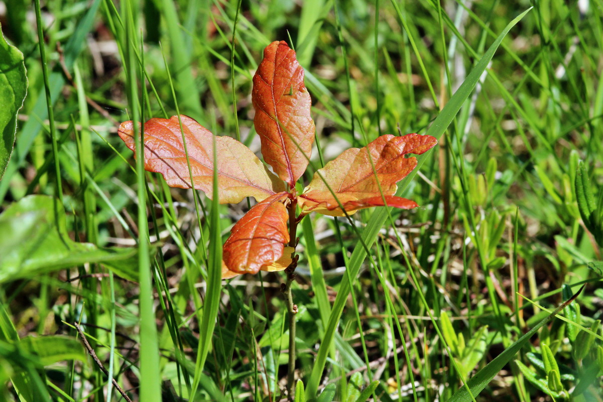 2014_05_05_00042427p_Bildgr��e �ndern