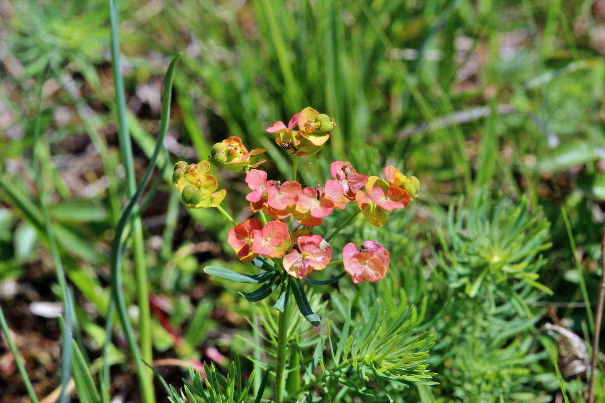 2014_05_05_00042443p_Bildgr��e �ndern