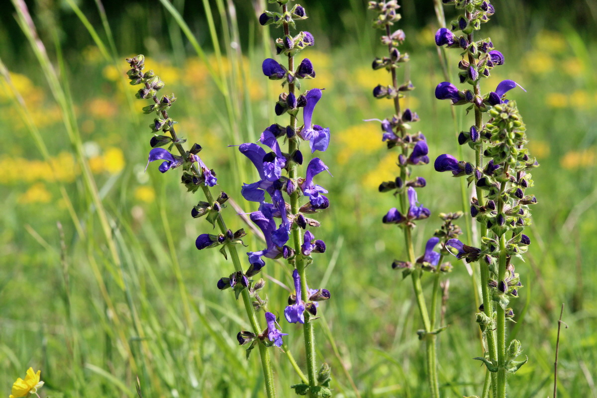 2014_05_05_00042449p_Bildgr��e �ndern