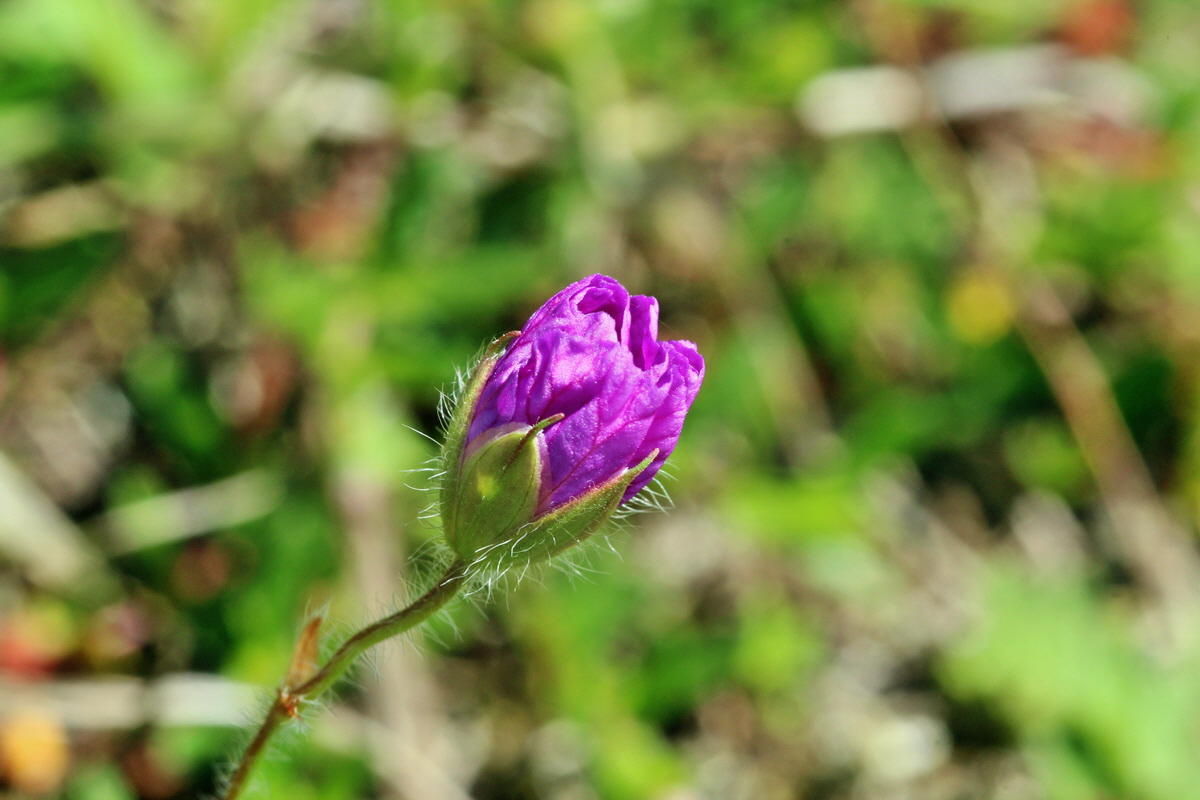 2014_05_05_00042452p_Bildgr��e �ndern