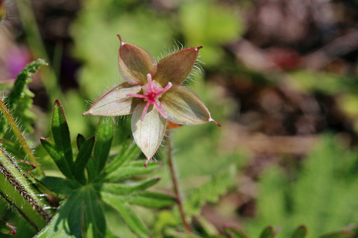 2014_05_05_00042454p_Bildgr��e �ndern