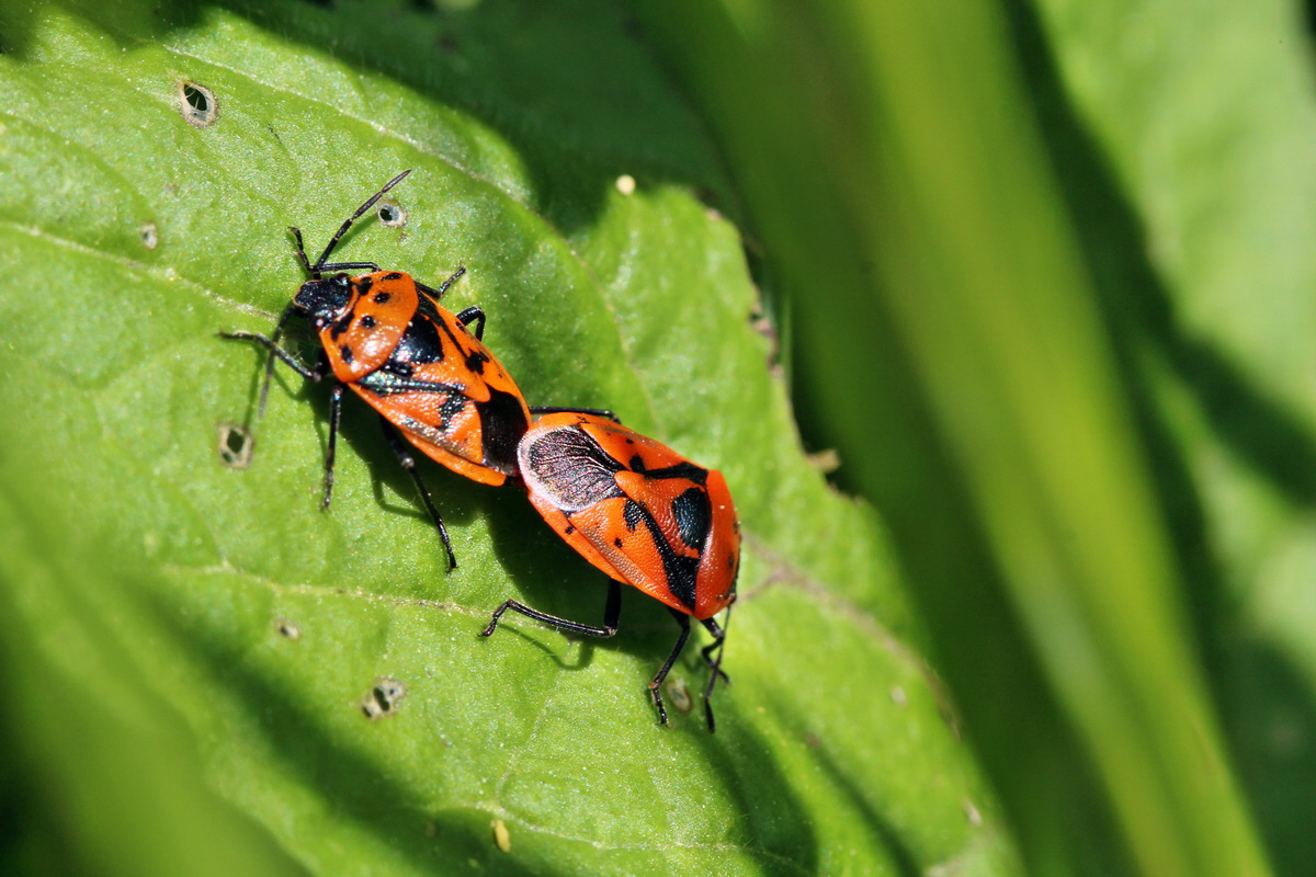 2014_05_05_00042505p_Bildgr��e �ndern