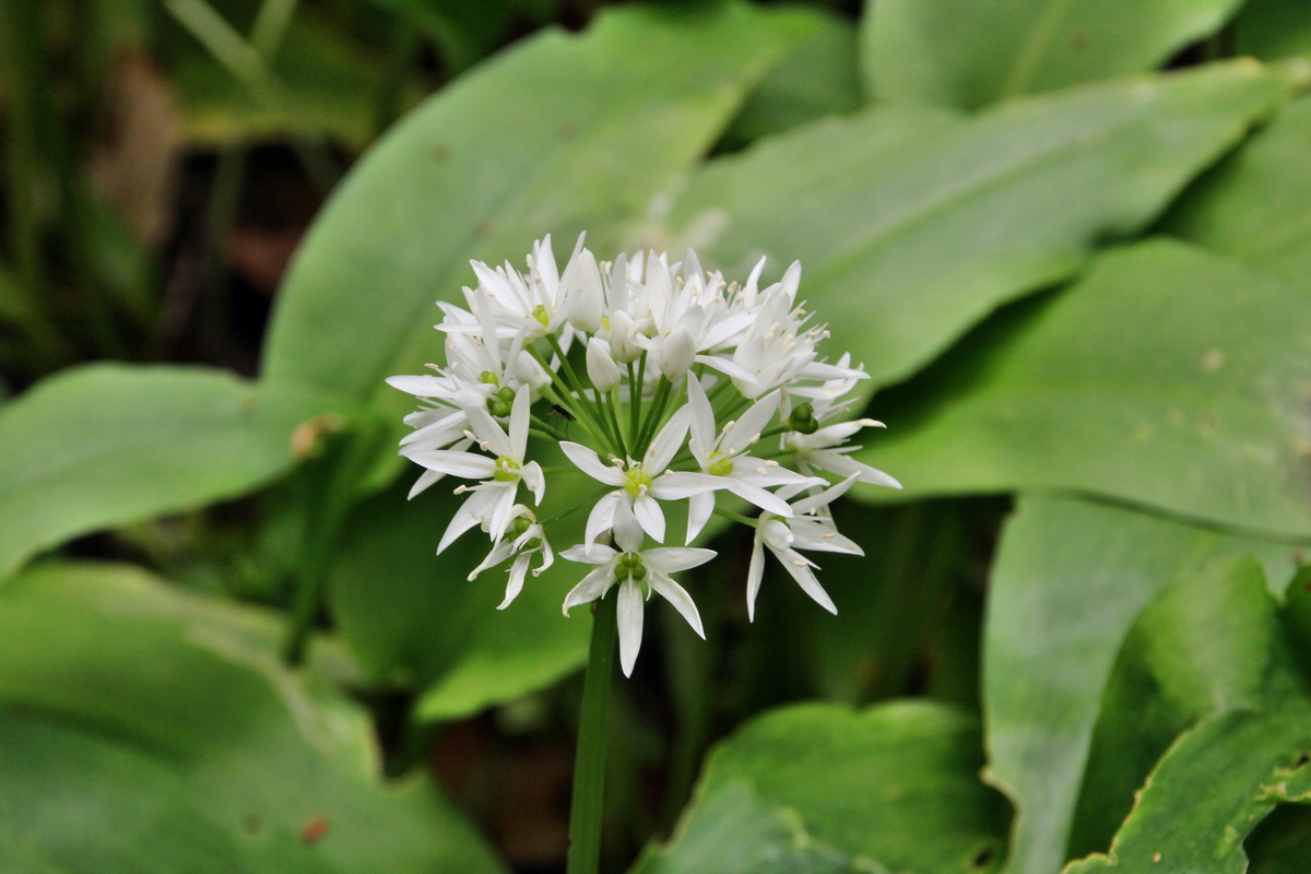 2014_05_06_00042518p_Bildgr��e �ndern