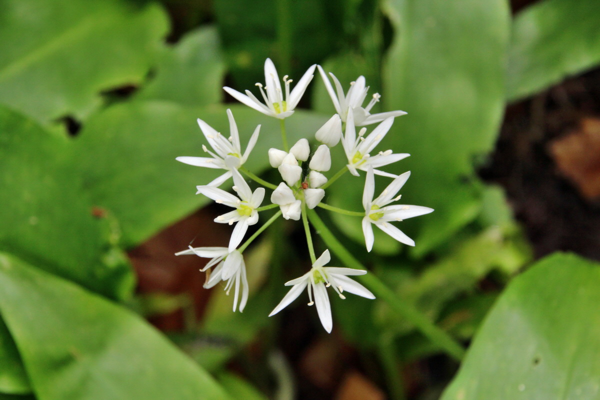 2014_05_06_00042520p_Bildgr��e �ndern