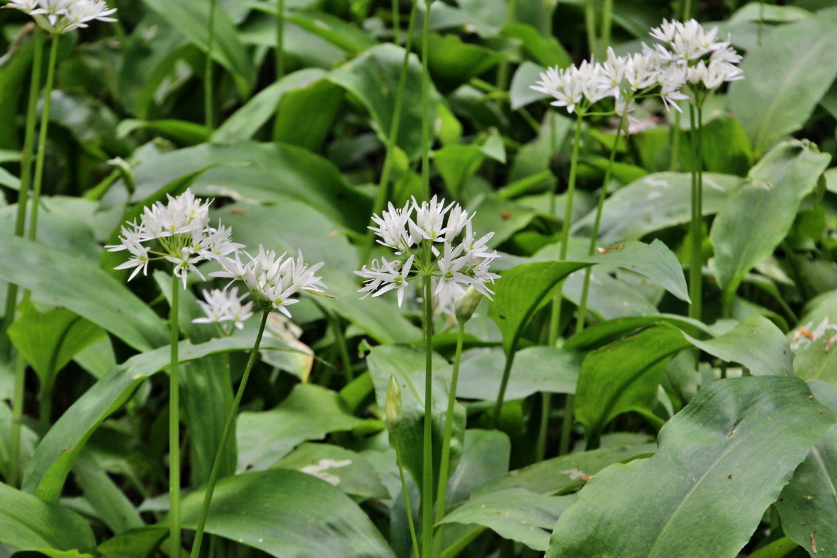 2014_05_06_00042521p_Bildgr��e �ndern