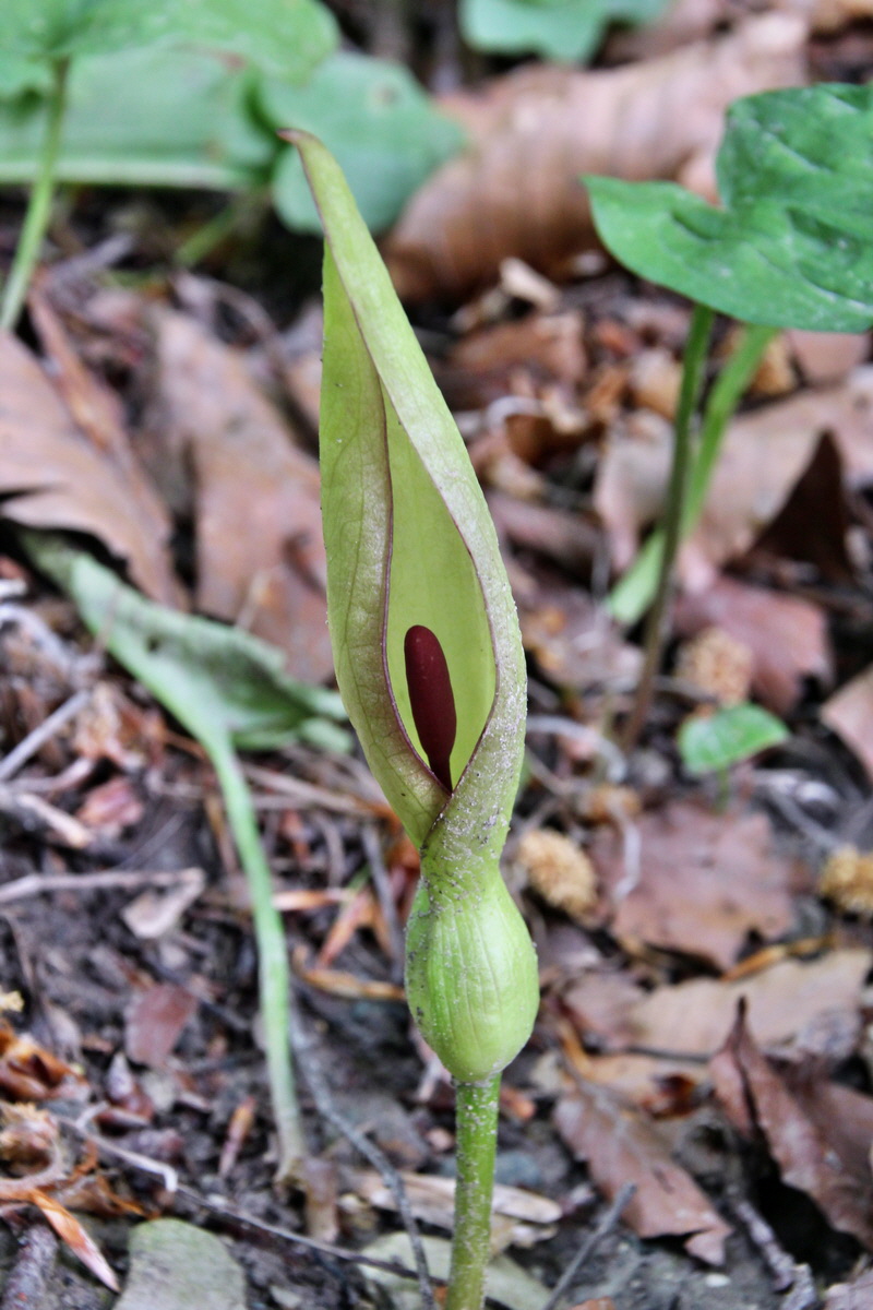 2014_05_06_00042523p_Bildgr��e �ndern