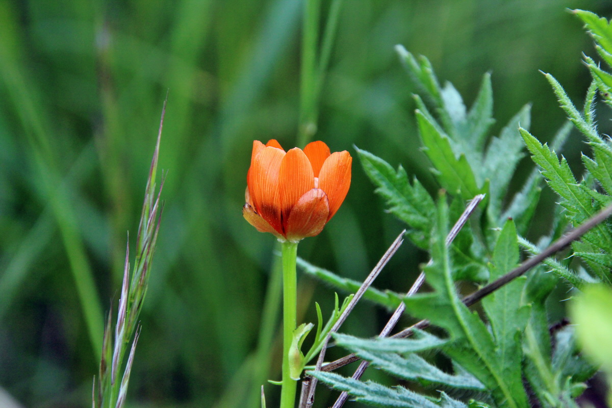 2014_05_06_00042564p_Bildgr��e �ndern