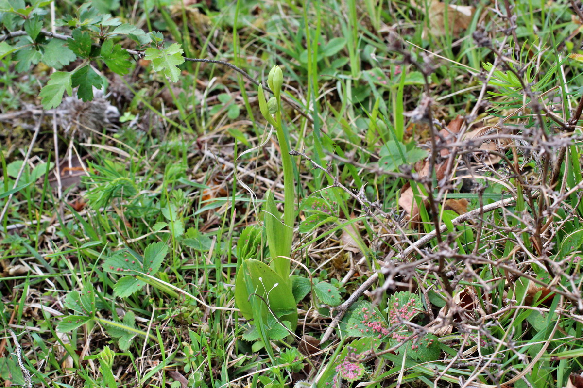 2014_05_06_00042566p_Bildgr��e �ndern