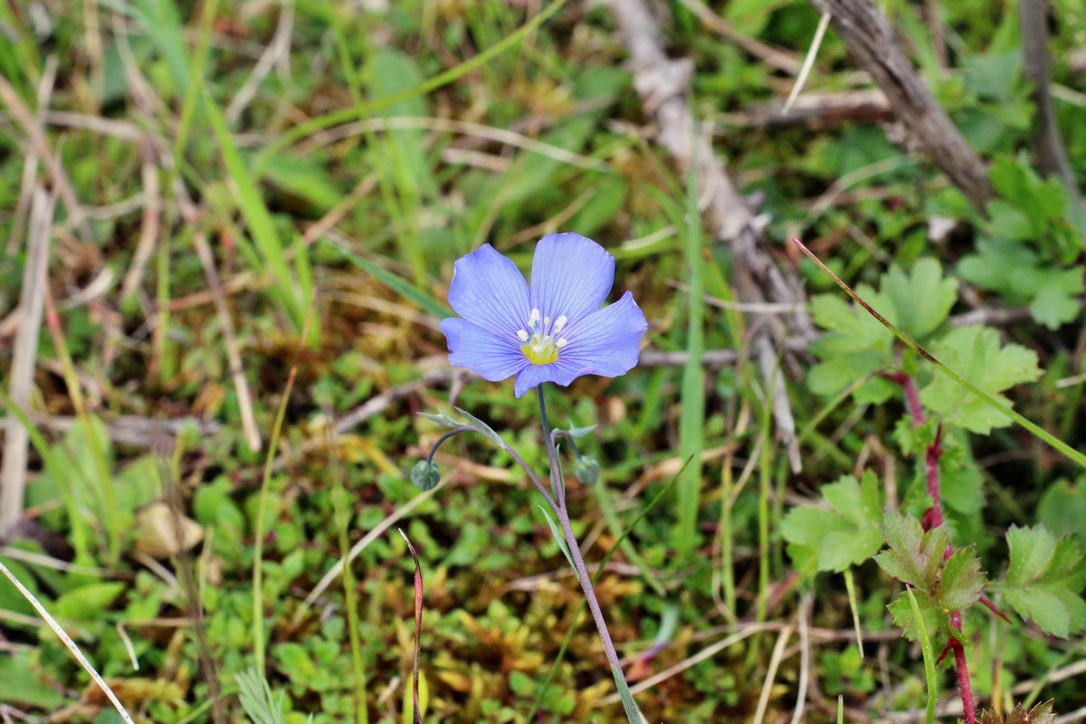 2014_05_06_00042575p_Bildgr��e �ndern