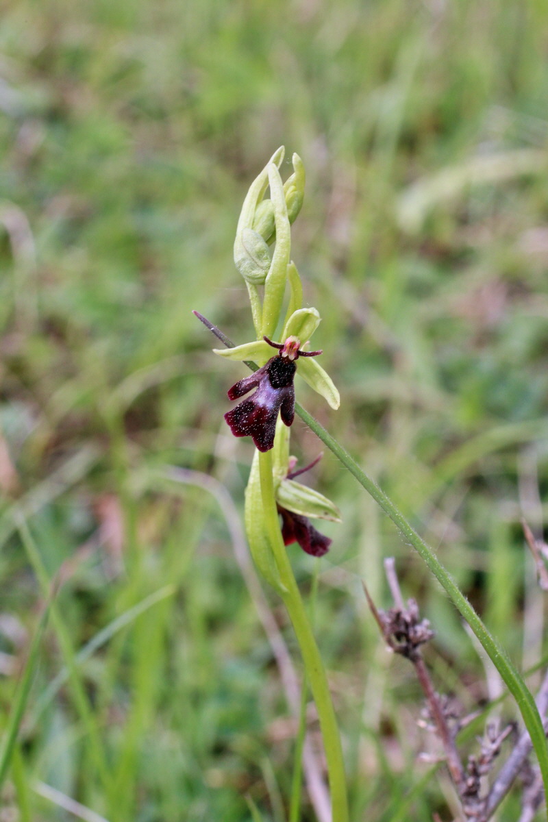 2014_05_06_00042579p_Bildgr��e �ndern