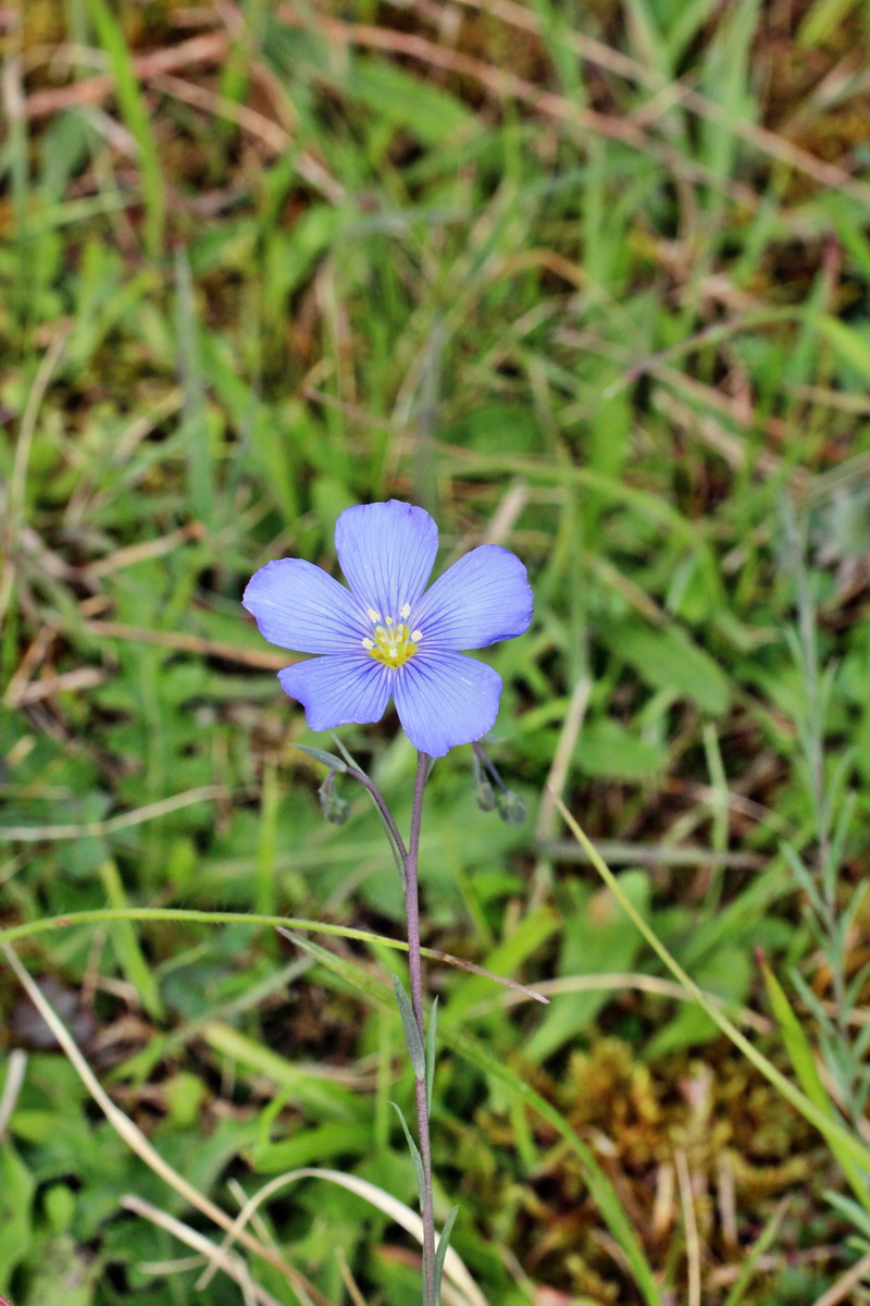 2014_05_06_00042584p_Bildgr��e �ndern