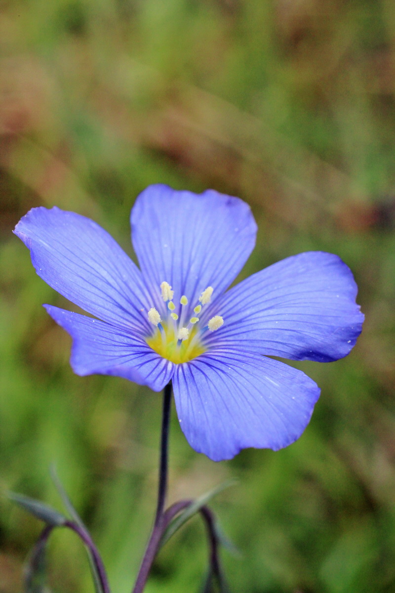 2014_05_06_00042586p_Bildgr��e �ndern