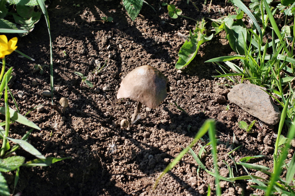 2014_05_16_00042601p_Bildgr��e �ndern