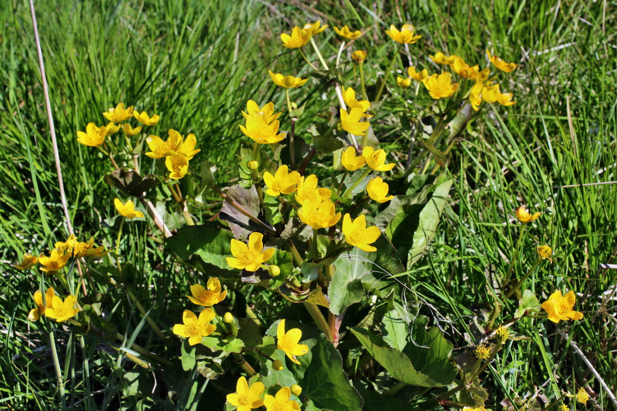 2014_05_16_00042609p_Bildgr��e �ndern