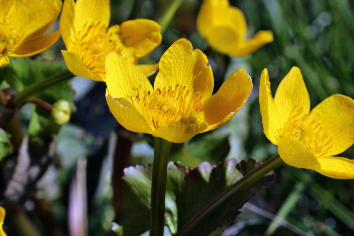 2014_05_16_00042610p_Bildgr��e �ndern