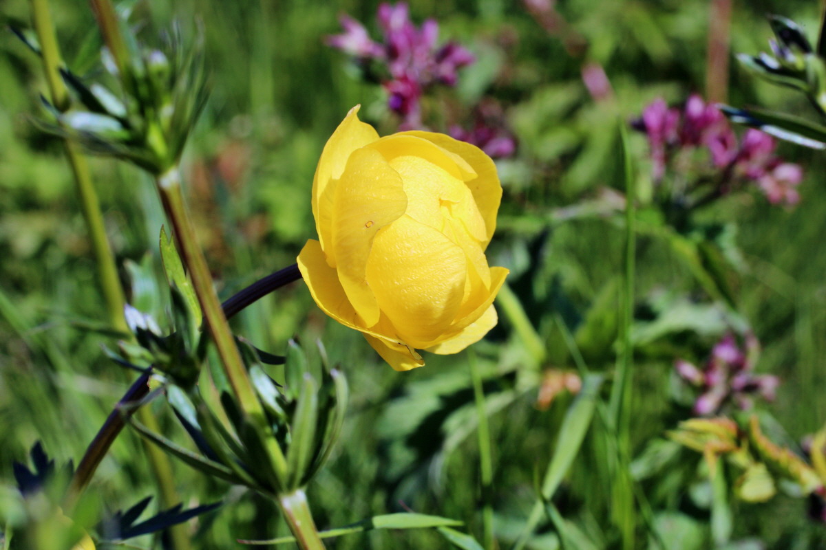 2014_05_16_00042622p_Bildgr��e �ndern