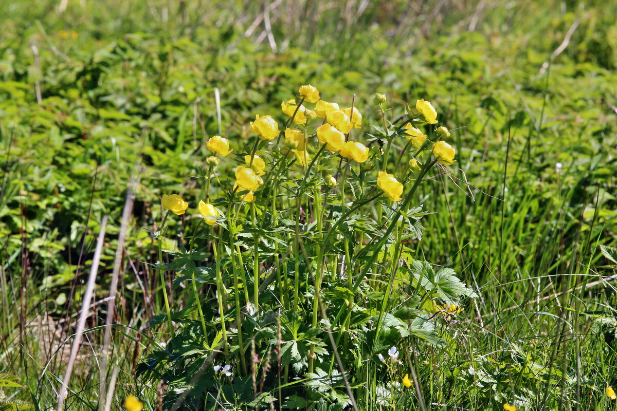 2014_05_16_00042627p_Bildgr��e �ndern